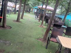 -尚庄度假村·庭台树下·户外烧烤·团建CS·轰趴营地(上庄水库店)