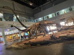 -自贡恐龙博物馆