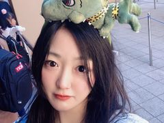 -飞天翼龙