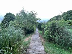 -花溪公园