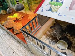 -上海大自然野生昆虫馆