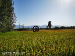 -林间山庄