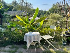 -Cafe In Little Forest
