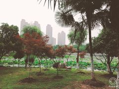 -后襄河公园
