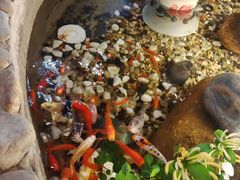 -龙源茶坊(白银路店)