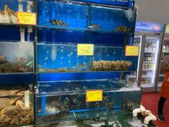 水产区-蚝专家(北滘店)