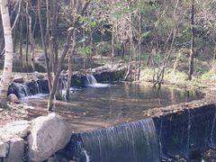 -玉渡山自然风景区
