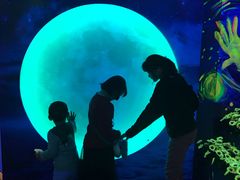 -天津梵高星空艺术馆(天河城旗舰店)