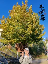 -前小桔亲子创意农场·草莓采摘·露营烧烤