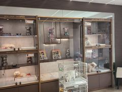 -翊宠yipet猫狗购宠庄园犬舍•猫舍