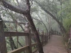 -塔云山
