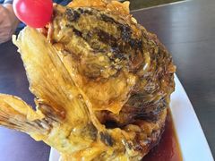 -老牌坊鲁菜名店(聊城美食岛店)
