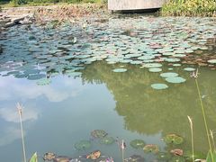 -四海公园(南山区)