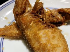 -椿不老
