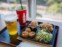 -台场海滨公园船码头