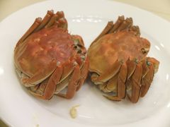 -王宝和酒家(黄浦店)