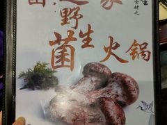 -菌之家·专业纯野生菌火锅·特色炒菌
