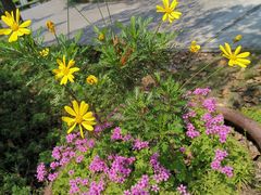 -东方假日田园-停车场