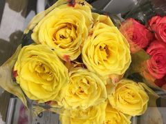 -鹿岛会员店 (龙湖三千集天街店)