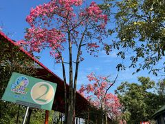 -广东花都香草世界旅游度假区