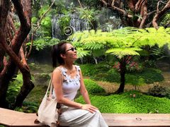 -Chom Cafe and Restaurant