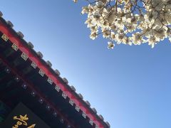 -天津大悲禅院