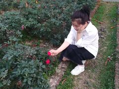 -人民公园(罗湖区)