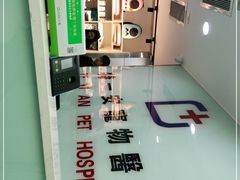 -特一安24小时宠物医院·骨科·中兽医