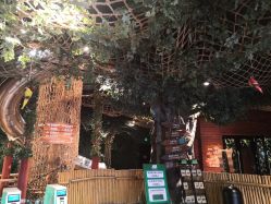 -奇幻丛林(佛罗伦萨小镇店)