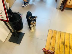-肆兮眼镜·蔡司·徕卡战略合作店(大坪店)