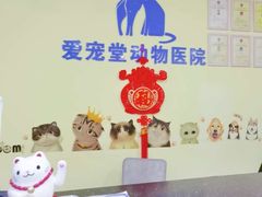 -瑞鹏宠物医院·爱宠堂·骨外专科(西荷分院)
