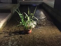 -鼓楼(西湖风景名胜区)
