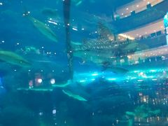 -成都浩海立方海洋公园