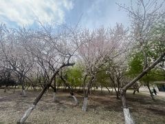 -长春公园(普阳街道)