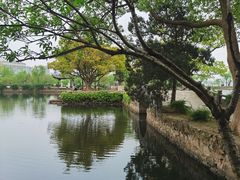 -无锡蠡湖国家湿地公园-蠡园