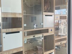 -爱洗澡的猫(望京店)
