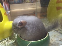 -赛百味(仙林金鹰店)
