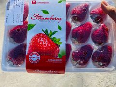 -T11生鲜超市(朝阳公园店)