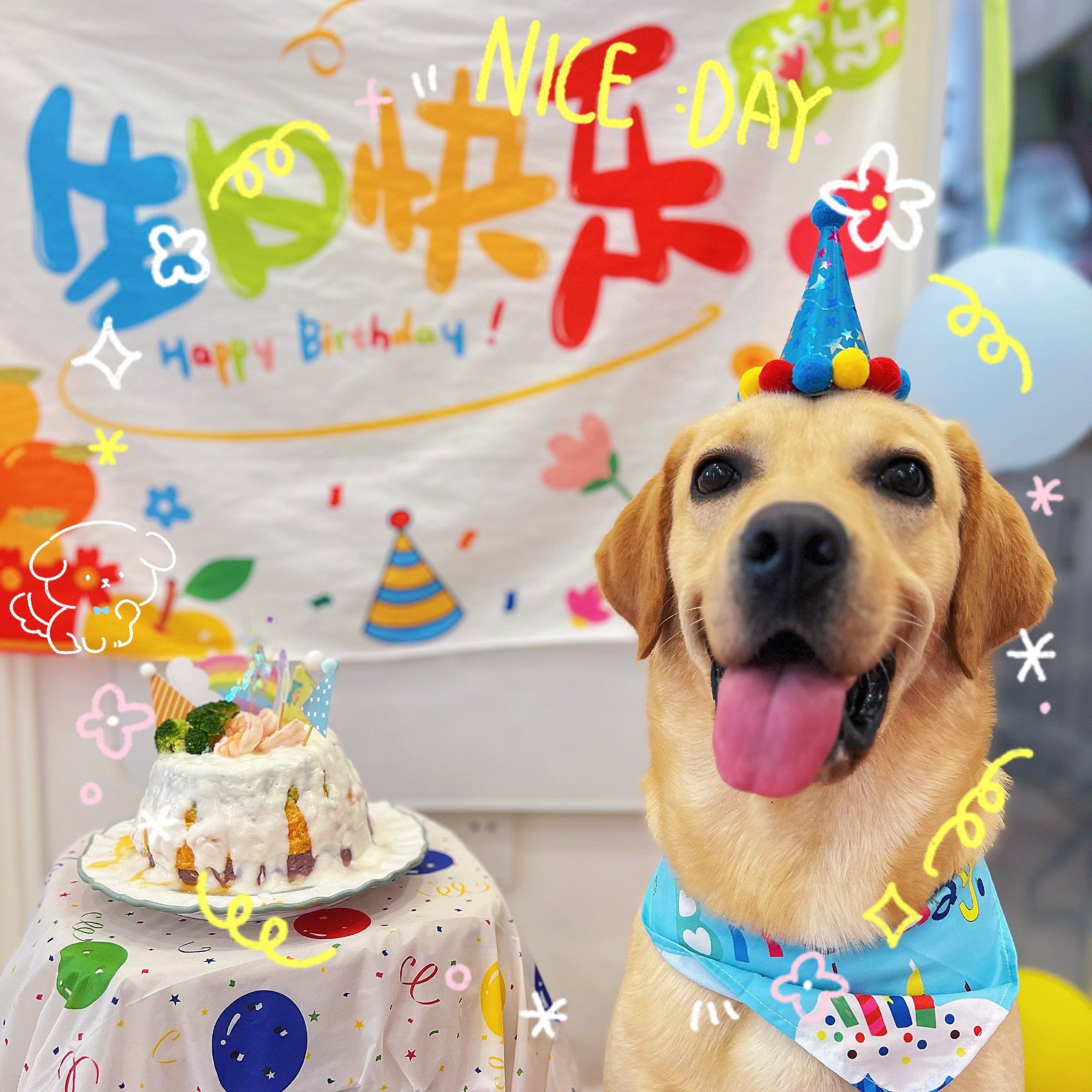 狗狗的快乐生日time
