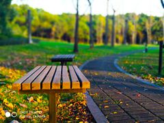 -中国浦东干部学院