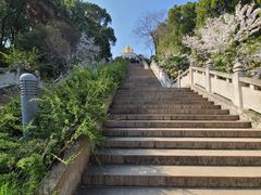 -苏州上方山国家森林公园