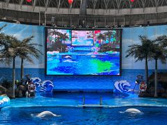 -海合安成都极地海洋公园