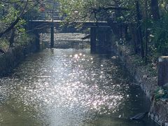 -河姆渡遗址博物馆