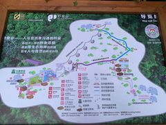 -野象谷景区