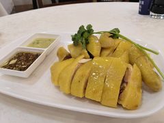 正宗白切鸡-巫记鸡饭店