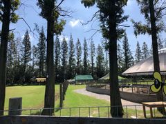 -前小桔亲子创意农场·草莓采摘·露营烧烤