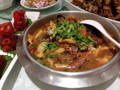 鸭血肥肠-金蝉食府(维吉奥广场店)