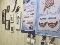 -宠爱国际动物医院·疑难骨科·心肾内科·皮肤科(太阳宫店)