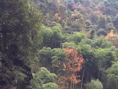 -夏霖九天银瀑风景区