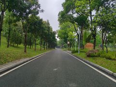 -东莞植物园